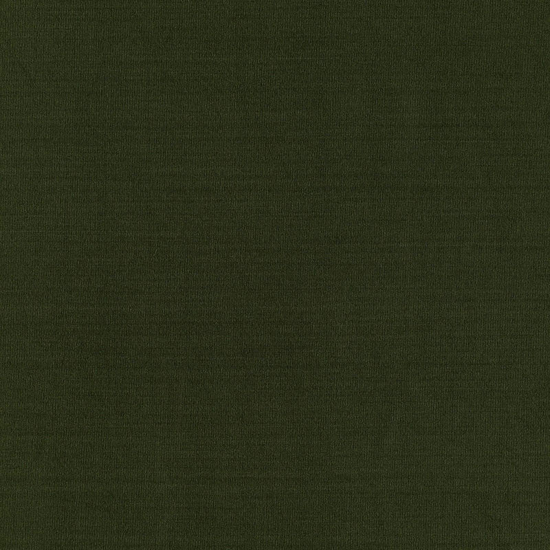 Masaccio Taffeta Vert 63911 by Schumacher Fabric MIRAGE / TEXTURES & PLAINS POLYESTER 100% INDIA </p><p>Repeat: Horizontal: and Vertical: 54 - Fabric Carolina -