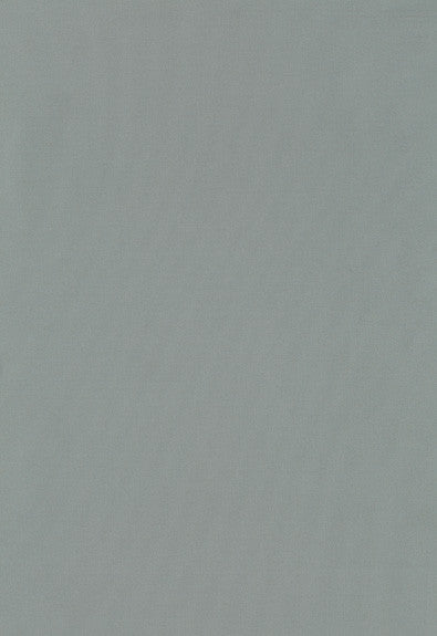 Giordano Taffeta Mineral 63930 by Schumacher Fabric Mirage 100% Polyester Wyzenbeek 30,000 Horizontal: - and Vertical: - 54 - Fabric Carolina -