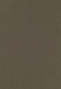 Giordano Taffeta Malt 63936 by Schumacher Fabric