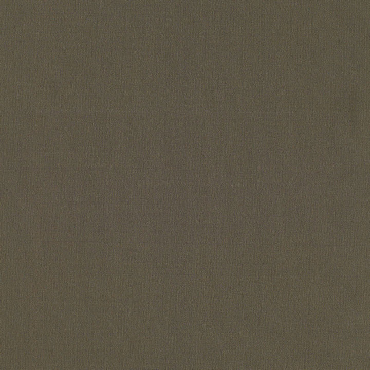 Giordano Taffeta Malt 63936 by Schumacher Fabric MIRAGE / TEXTURES & PLAINS POLYESTER 100% TURKEY WYZENBEEK 30,000 </p><p>Repeat: Horizontal: and Vertical: 54 - Fabric Carolina -