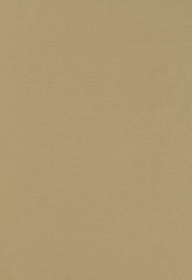 Giordano Taffeta Sage 63939 by Schumacher Fabric Mirage 100% Polyester Wyzenbeek 30,000 Horizontal: - and Vertical: - 54 - Fabric Carolina -