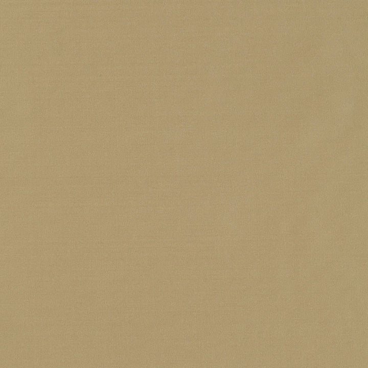 Giordano Taffeta Sage 63939 by Schumacher Fabric MIRAGE / TEXTURES & PLAINS POLYESTER 100% TURKEY WYZENBEEK 30,000 </p><p>Repeat: Horizontal: and Vertical: 54 - Fabric Carolina -