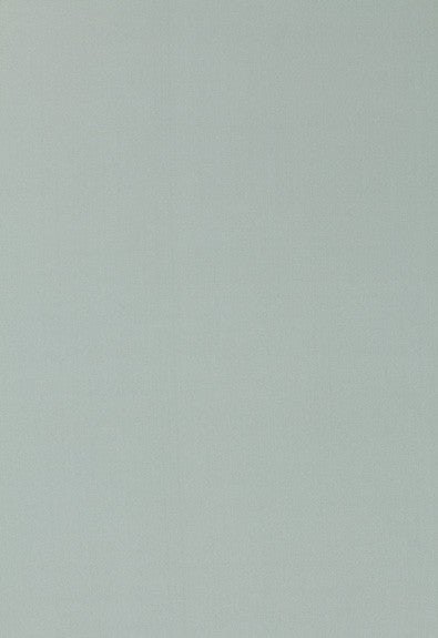 Giordano Taffeta Spa 63940 by Schumacher Fabric Mirage 100% Polyester Wyzenbeek 30,000 Horizontal: - and Vertical: - 54 - Fabric Carolina -