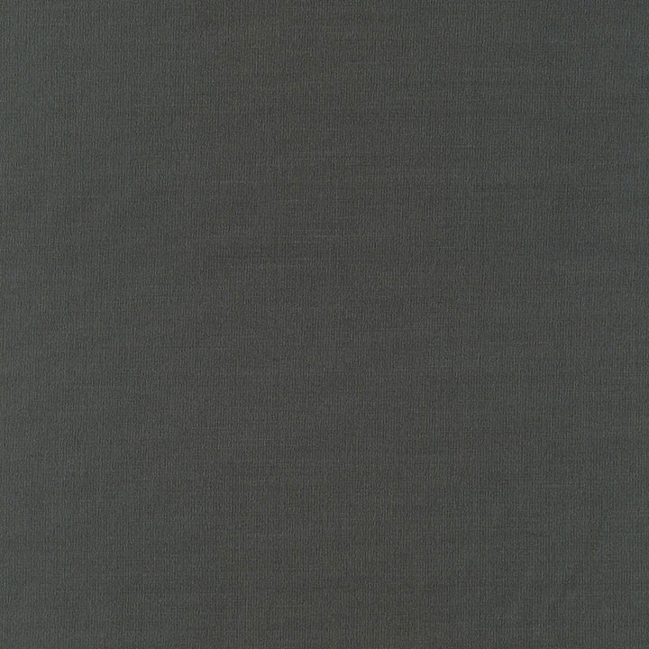 Giordano Taffeta Graphite 63946 by Schumacher Fabric MIRAGE / TEXTURES & PLAINS POLYESTER 100% TURKEY WYZENBEEK 30,000 </p><p>Repeat: Horizontal: and Vertical: 54 - Fabric Carolina -