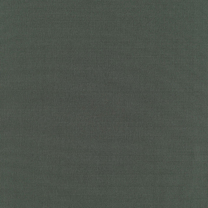 Giordano Taffeta Peat 63947 by Schumacher Fabric MIRAGE / TEXTURES & PLAINS POLYESTER 100% TURKEY WYZENBEEK 30,000 </p><p>Repeat: Horizontal: and Vertical: 54 - Fabric Carolina -