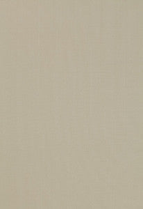 Giordano Taffeta Pearl 63949 by Schumacher Fabric