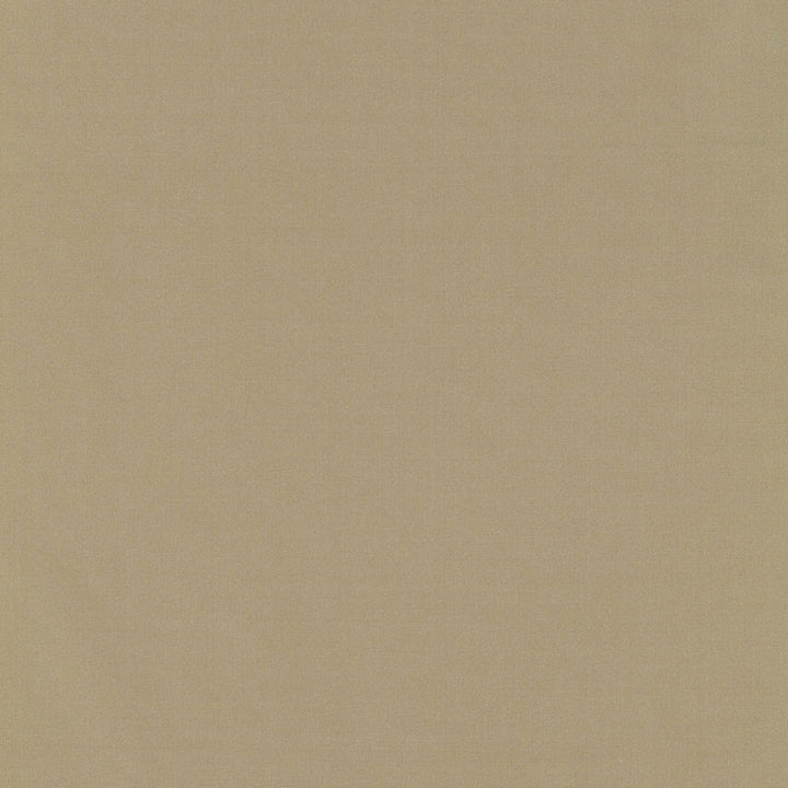 Giordano Taffeta Putty 63950 by Schumacher Fabric MIRAGE / TEXTURES & PLAINS See Sample TURKEY . </p><p>Repeat: Horizontal: - and Vertical: - 54" WIDE (137CM) - Fabric Carolina -