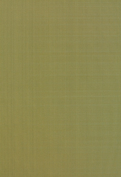 Giordano Taffeta Lichen 63960 by Schumacher Fabric Mirage 100% Polyester Wyzenbeek 30,000 Horizontal: - and Vertical: - 54 - Fabric Carolina -