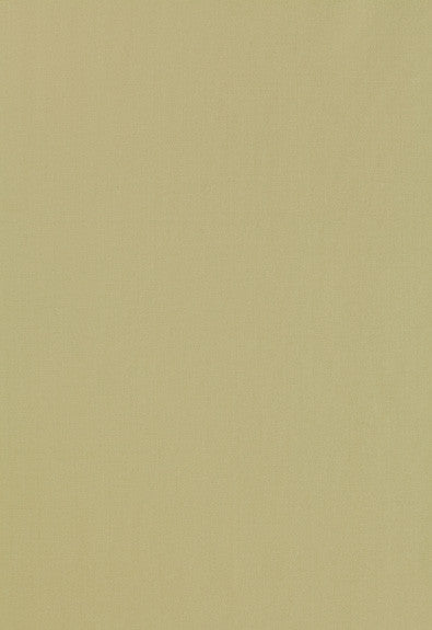 Giordano Taffeta Celery 63962 by Schumacher Fabric Mirage 100% Polyester Wyzenbeek 30,000 Horizontal: - and Vertical: - 54 - Fabric Carolina -