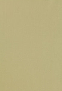 Giordano Taffeta Celery 63962 by Schumacher Fabric