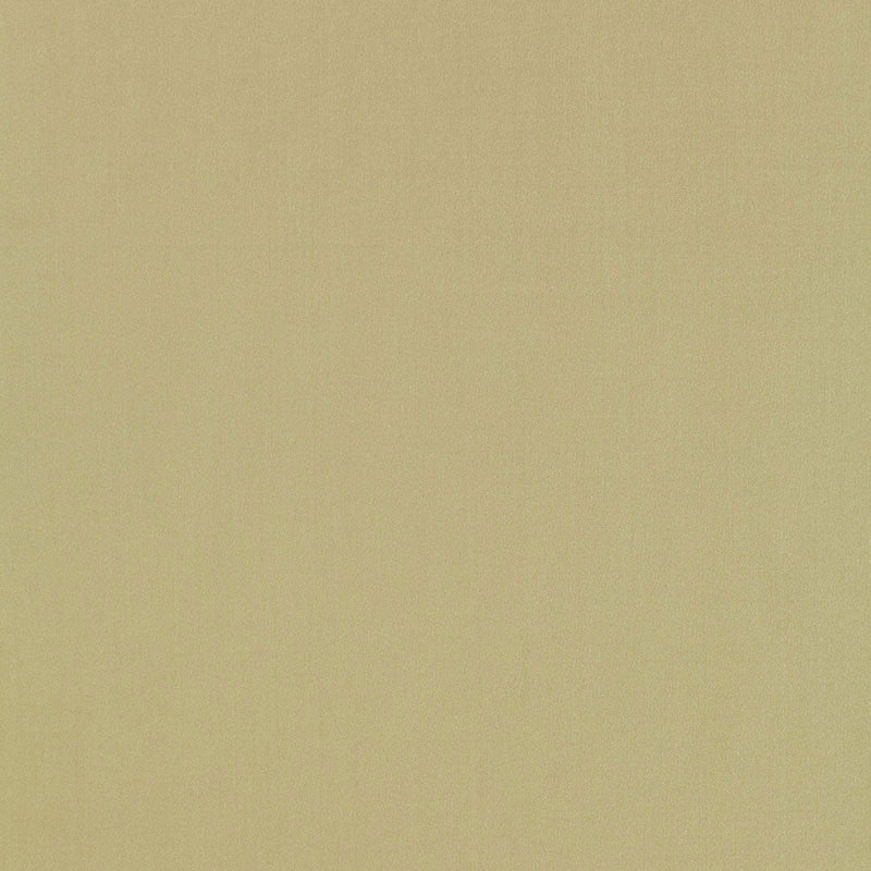 Giordano Taffeta Celery 63962 by Schumacher Fabric MIRAGE / TEXTURES & PLAINS See Sample TURKEY . </p><p>Repeat: Horizontal: - and Vertical: - 54" WIDE (137CM) - Fabric Carolina -