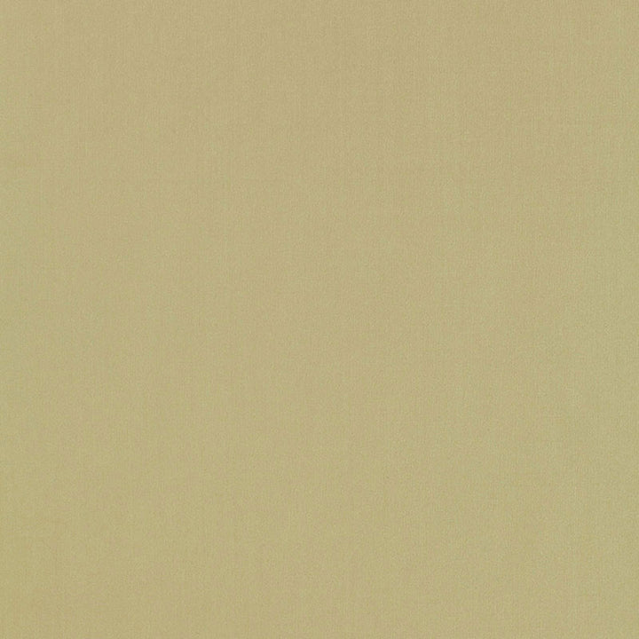 Giordano Taffeta Celery 63962 by Schumacher Fabric MIRAGE / TEXTURES & PLAINS See Sample TURKEY . </p><p>Repeat: Horizontal: - and Vertical: - 54" WIDE (137CM) - Fabric Carolina -