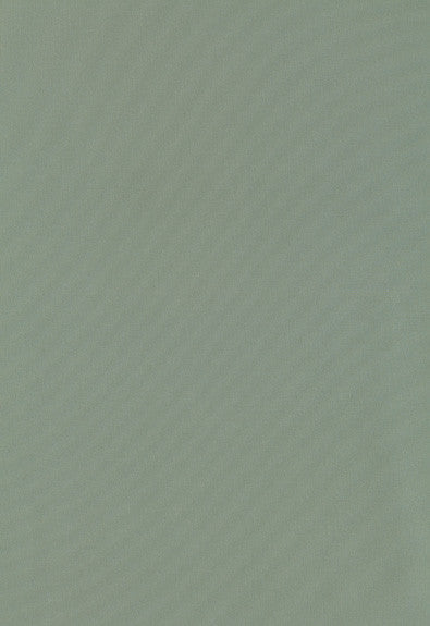 Giordano Taffeta Spanish Moss 63965 by Schumacher Fabric Mirage 100% Polyester Wyzenbeek 30,000 Horizontal: - and Vertical: - 54 - Fabric Carolina -