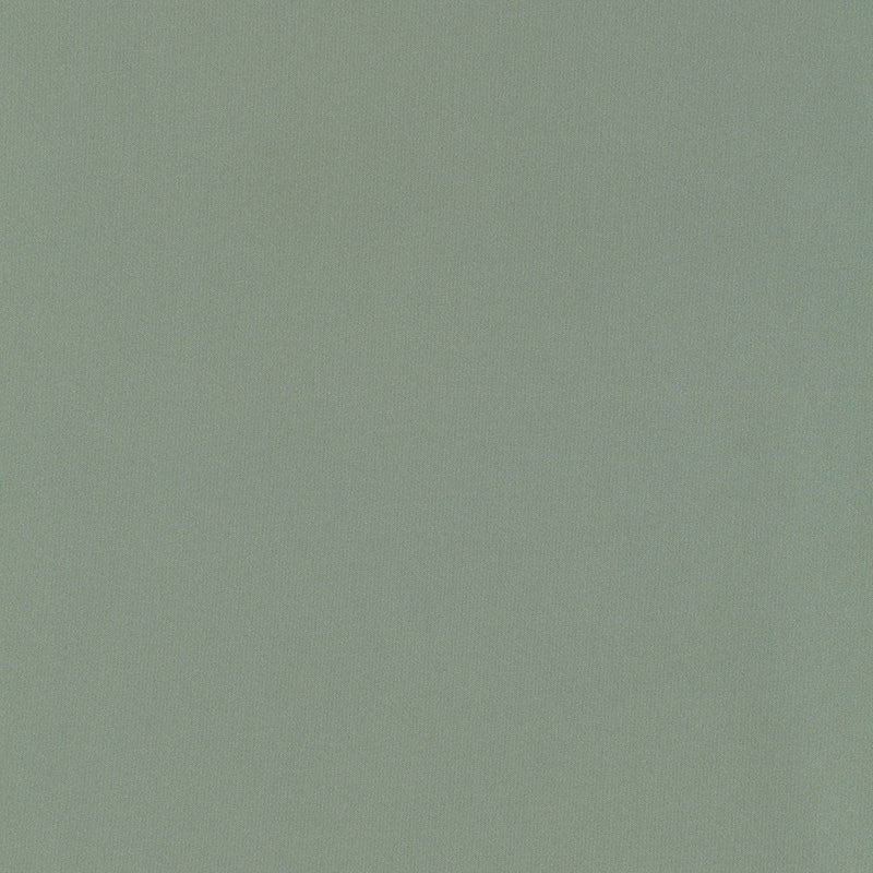 Giordano Taffeta Spanish Moss 63965 by Schumacher Fabric MIRAGE / TEXTURES & PLAINS POLYESTER 100% TURKEY WYZENBEEK 30,000 </p><p>Repeat: Horizontal: and Vertical: 54 - Fabric Carolina -