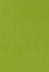 Giordano Taffeta Lime 63969 by Schumacher Fabric