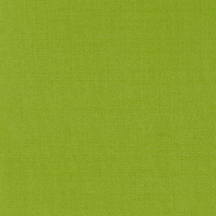 Giordano Taffeta Lime 63969 by Schumacher Fabric MIRAGE / TEXTURES & PLAINS POLYESTER 100% TURKEY WYZENBEEK 30,000 </p><p>Repeat: Horizontal: and Vertical: 54 - Fabric Carolina -