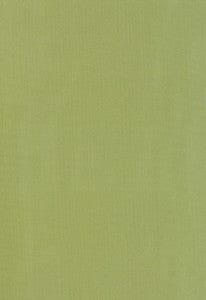 Giordano Taffeta Kryptonite 63970 by Schumacher Fabric