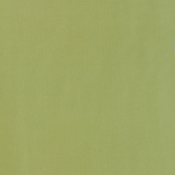 Giordano Taffeta Kryptonite 63970 by Schumacher Fabric MIRAGE / TEXTURES & PLAINS POLYESTER 100% TURKEY WYZENBEEK 30,000 </p><p>Repeat: Horizontal: and Vertical: 54 - Fabric Carolina -