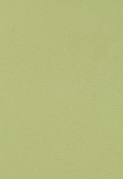 Giordano Taffeta Mint Julep 63971 by Schumacher Fabric Mirage 100% Polyester Wyzenbeek 30,000 Horizontal: - and Vertical: - 54 - Fabric Carolina -