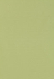 Giordano Taffeta Mint Julep 63971 by Schumacher Fabric