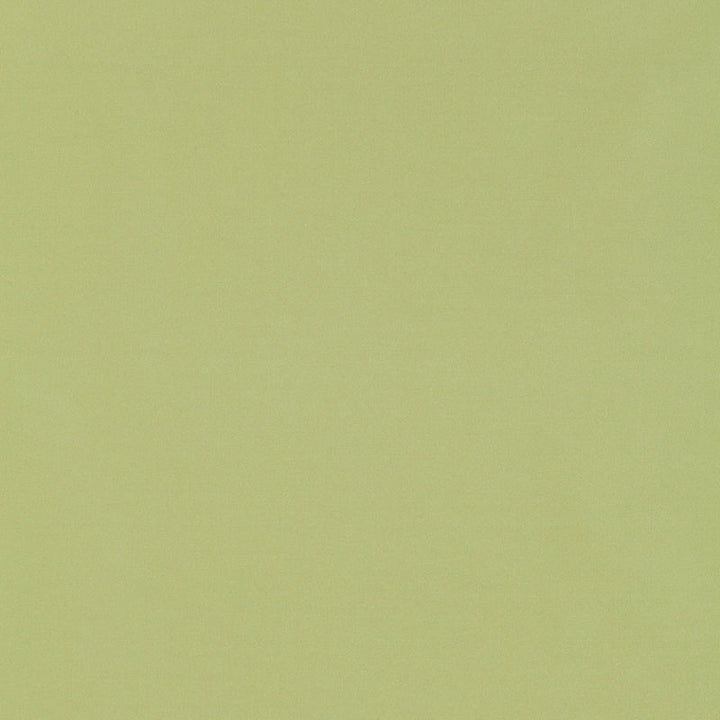 Giordano Taffeta Mint Julep 63971 by Schumacher Fabric MIRAGE / TEXTURES & PLAINS POLYESTER 100% TURKEY WYZENBEEK 30,000 </p><p>Repeat: Horizontal: and Vertical: 54 - Fabric Carolina -