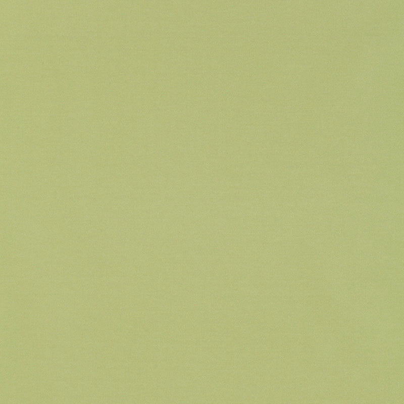 Giordano Taffeta Mint Julep 63971 by Schumacher Fabric MIRAGE / TEXTURES & PLAINS See Sample TURKEY . </p><p>Repeat: Horizontal: - and Vertical: - 54" WIDE (137CM) - Fabric Carolina -