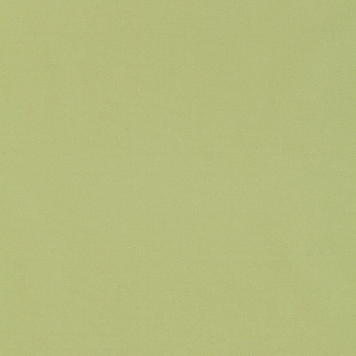 Giordano Taffeta Mint Julep 63971 by Schumacher Designer Fabric MIRAGE / TEXTURES & PLAINS POLYESTER 100% TURKEY WYZENBEEK 30,000 </p><p>Repeat: Horizontal: and Vertical: 54 - Swanky Fabrics -