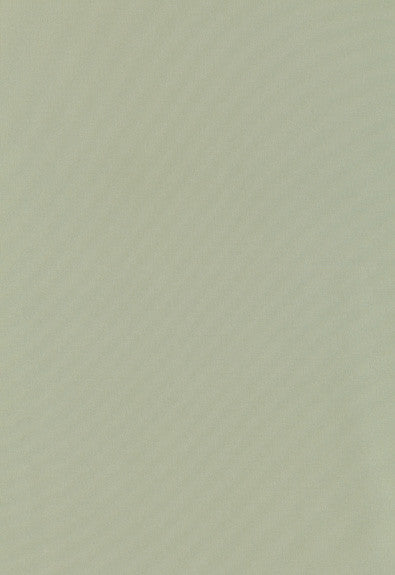 Giordano Taffeta Celadon 63972 by Schumacher Fabric Mirage 100% Polyester Wyzenbeek 30,000 Horizontal: - and Vertical: - 54 - Fabric Carolina -