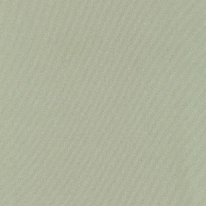 Giordano Taffeta Celadon 63972 by Schumacher Fabric MIRAGE / TEXTURES & PLAINS POLYESTER 100% TURKEY WYZENBEEK 30,000 </p><p>Repeat: Horizontal: and Vertical: 54 - Fabric Carolina -
