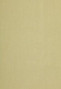 Blythe Weave Green Tea 64358 by Schumacher Fabric