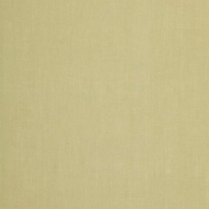 Blythe Weave Green Tea 64358 by Schumacher Fabric ESSENTIAL PLAINS RAMIE 100% ITALY MARTINDALE 12,000 </p><p>Repeat: Horizontal: and Vertical: 54 - Fabric Carolina -