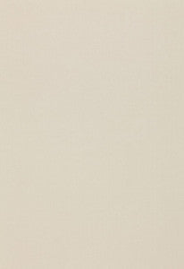 Isolde Cotton Weave Platinum 64371 by Schumacher Fabric