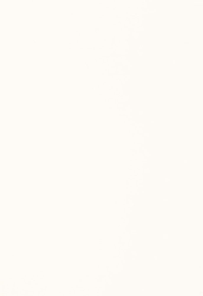 Isolde Cotton Weave Winter White 64374 by Schumacher Fabric COLLECTION-NAME-TBA-64370 100% Cotton Martindale 10,000 Horizontal: - and Vertical: - 57 - Fabric Carolina -