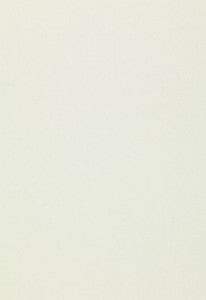 Isolde Cotton Weave Mineral 64376 by Schumacher Fabric