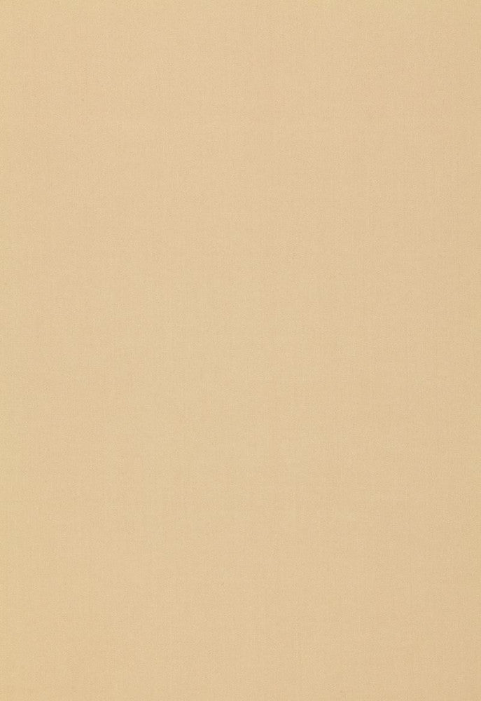 Isolde Cotton Weave String 64378 by Schumacher Designer Fabric COLLECTION-NAME-TBA-64370 100% Cotton Martindale 10,000 Horizontal: - and Vertical: - 57 - Swanky Fabrics -