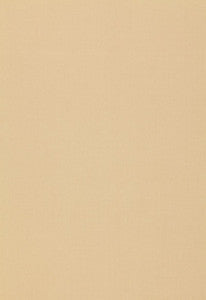 Isolde Cotton Weave String 64378 by Schumacher Fabric