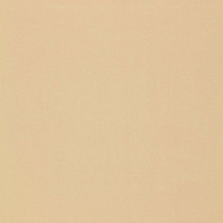Isolde Cotton Weave String 64378 by Schumacher Fabric ESSENTIAL PLAINS / LINEN & COTTON See Sample ITALY . </p><p>Repeat: Horizontal: - and Vertical: - 57" WIDE (145CM) - Fabric Carolina -