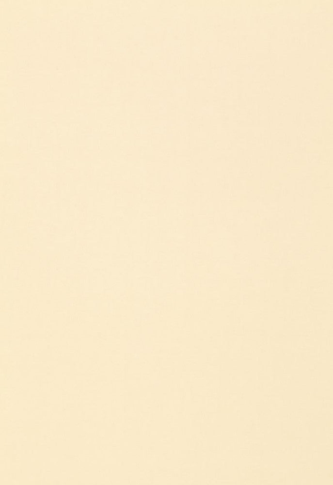 Isolde Cotton Weave Chamois 64379 by Schumacher Fabric COLLECTION-NAME-TBA-64370 100% Cotton Martindale 10,000 Horizontal: - and Vertical: - 57 - Fabric Carolina -