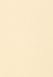 Isolde Cotton Weave Chamois 64379 by Schumacher Fabric