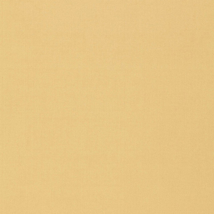 Isolde Cotton Weave Camel 64380 by Schumacher Fabric Schumacher Fabric Isolde Cotton Weave Camel 64380Fabric COTTON 100% ITALY </p><p>Repeat: H: 0, V: 0 57 - Fabric Carolina -