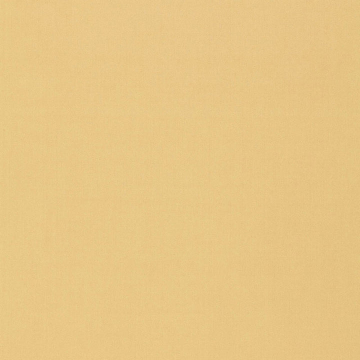 Isolde Cotton Weave Camel 64380 by Schumacher Fabric ESSENTIAL PLAINS / LINEN & COTTON See Sample ITALY . </p><p>Repeat: Horizontal: - and Vertical: - 57" WIDE (145CM) - Fabric Carolina -