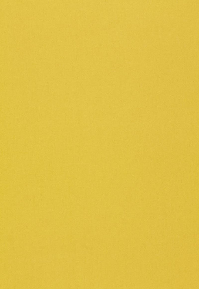 Isolde Cotton Weave Chartreuse 64382 by Schumacher Fabric Chroma 100% Cotton Martindale 10,000 Horizontal: - and Vertical: - 57 - Fabric Carolina -