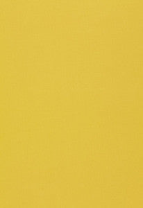 Isolde Cotton Weave Chartreuse 64382 by Schumacher Fabric