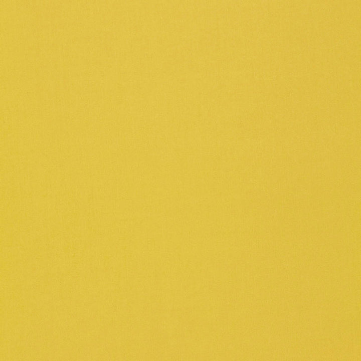 Isolde Cotton Weave Chartreuse 64382 by Schumacher Fabric CHROMA COTTON 100% ITALY MARTINDALE 10,000 </p><p>Repeat: Horizontal: and Vertical: 57 - Fabric Carolina -