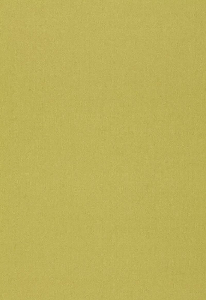 Isolde Cotton Weave Pear 64383 by Schumacher Fabric COLLECTION-NAME-TBA-64370 100% Cotton Martindale 10,000 Horizontal: - and Vertical: - 57 - Fabric Carolina -