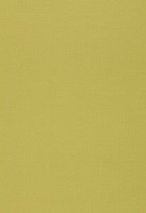 Isolde Cotton Weave Pear 64383 by Schumacher Fabric