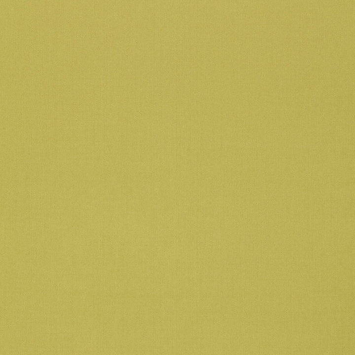Isolde Cotton Weave Pear 64383 by Schumacher Fabric ESSENTIAL PLAINS / LINEN & COTTON See Sample ITALY . </p><p>Repeat: Horizontal: - and Vertical: - 57" WIDE (145CM) - Fabric Carolina -