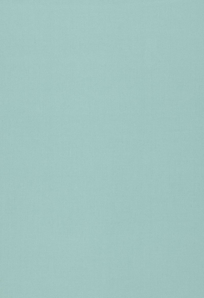 Isolde Cotton Weave Caribbean 64384 by Schumacher Fabric COLLECTION-NAME-TBA-64370 100% Cotton Martindale 10,000 Horizontal: - and Vertical: - 57 - Fabric Carolina -