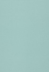 Isolde Cotton Weave Caribbean 64384 by Schumacher Fabric