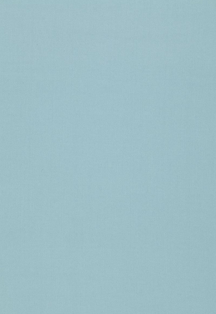 Isolde Cotton Weave Bristol 64385 by Schumacher Fabric COLLECTION-NAME-TBA-64370 100% Cotton Martindale 10,000 Horizontal: - and Vertical: - 57 - Fabric Carolina -